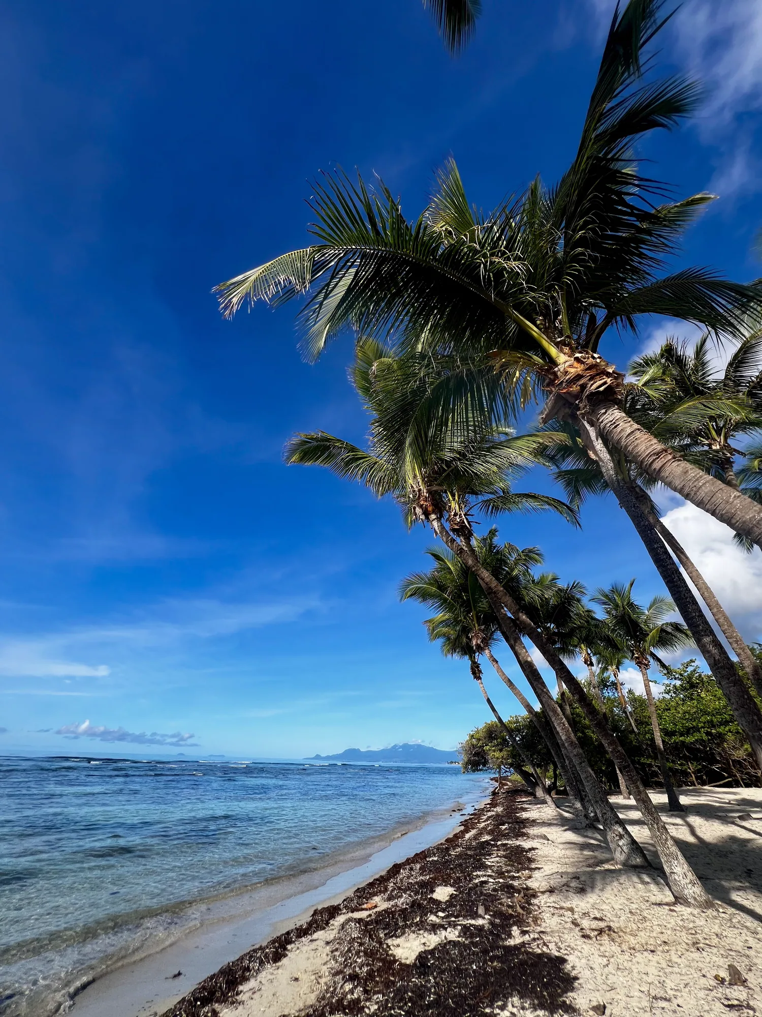 Plage et lagon turquoise en Guadeloupe